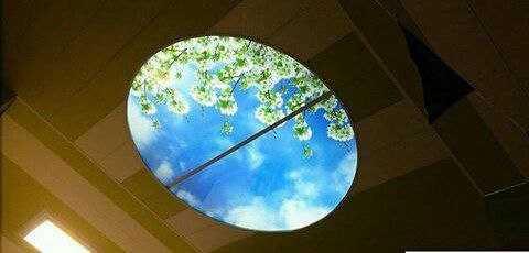 placeholder image-sq